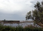 Poble nou   R.Eveleens